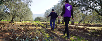 Actualización Proyecto Olivos en Palestina