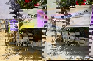 Tu Udhiya para Marruecos