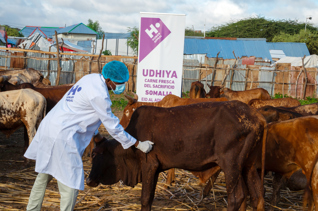 Tu Udhiya en Somalia