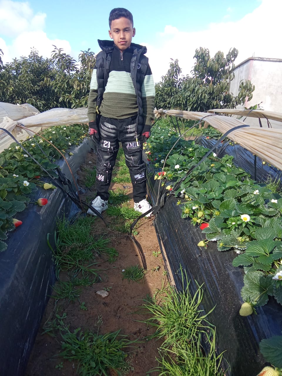 Yatimi - Human Appeal - Saifeddine