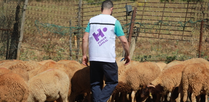 Fondo para carne de la Udhiya (sadaqah)