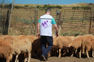 Fondo para carne de la Udhiya (sadaqah) - Donde más se necesita