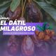 El Dátil Milagroso - Comida para Gaza