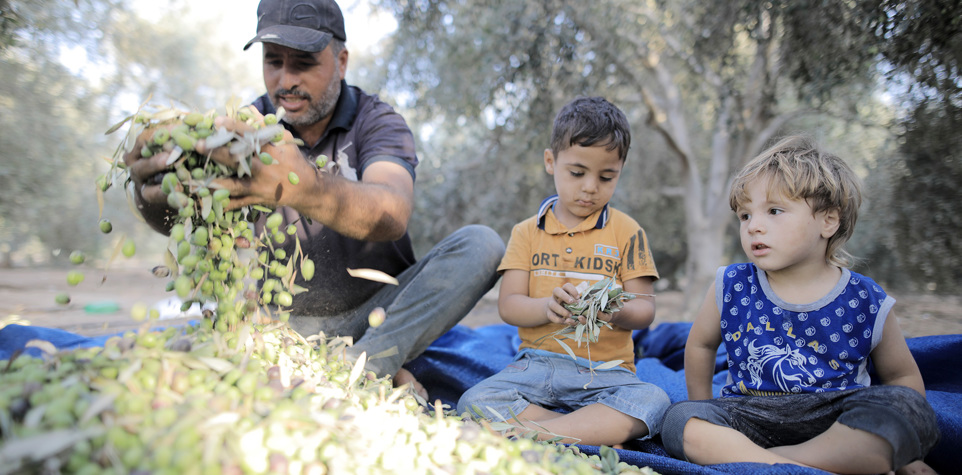 Zakat - Agricultura