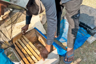 Granja de miel (colmenas) para Bangladesh