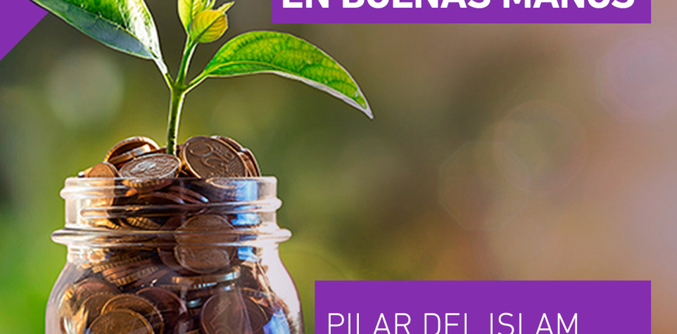 Tu Zakat al Maal en Ramadán