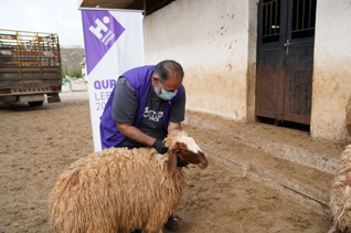 Fondo para carne de la Udhiya (sadaqah) - Donde más se necesita