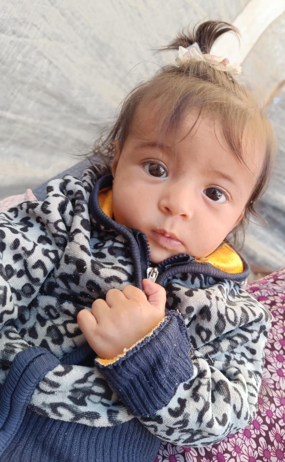 Yatimi - Human Appeal - Aseel