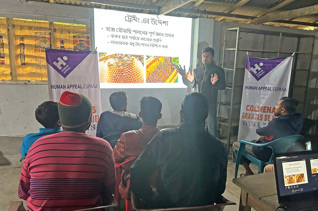 Granja de miel (colmenas) para Bangladesh