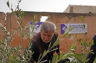 Planta olivos en Siria