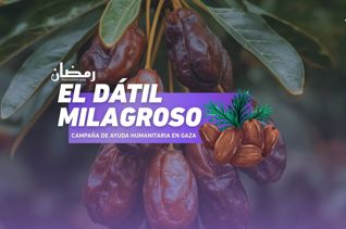 El Dátil Milagroso - Comida para Gaza | Ramadán 2026
