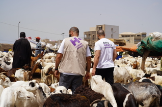 Fondo para carne de la Udhiya (sadaqah) - Donde más se necesita