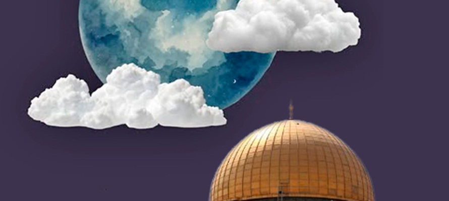 14,858,241 gracias - Lo que tu generosidad ha conseguido en 2025 en Gaza