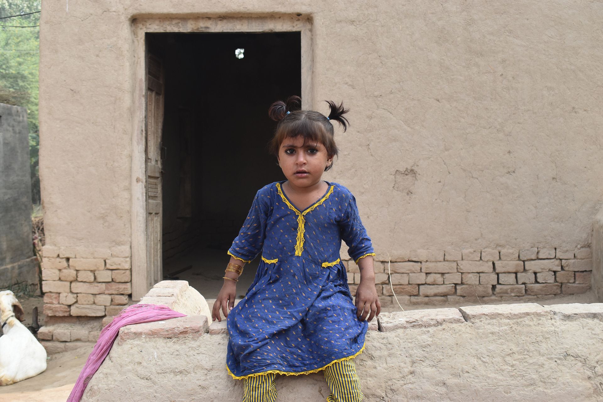 Yatimi - Human Appeal - Jannat