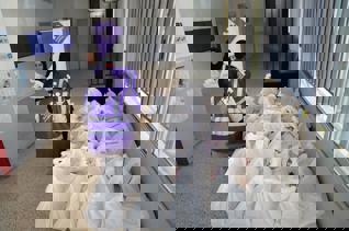 Fondo de Emergencia en Gaza