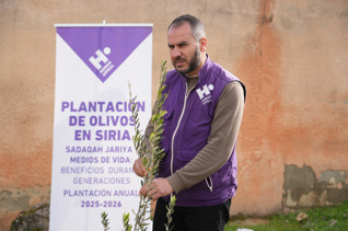 Planta olivos en Siria