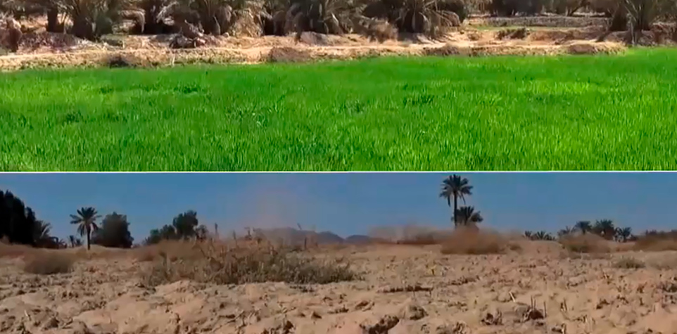 Agua para la agricultura