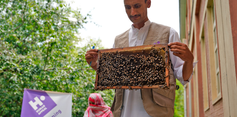 Proyectos de Sadaqah Jairya