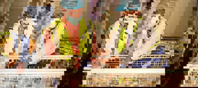 A partir de mediados de octubre de 2025, nuestro equipo en Sudán comenzó a cocinar y repartir comidas calientes recién en el Hospital Al Naw, en coordinación con el personal médico. Diariamente, se proporcionan entre 200 y 400 comidas (incluyendo comidas líquidas y adaptadas para pacientes frágiles), a los trabajadores, pacientes y sus acompañantes, ofreciendo un apoyo vital en un contexto de desplazamiento, sufrimiento y total falta de recursos.