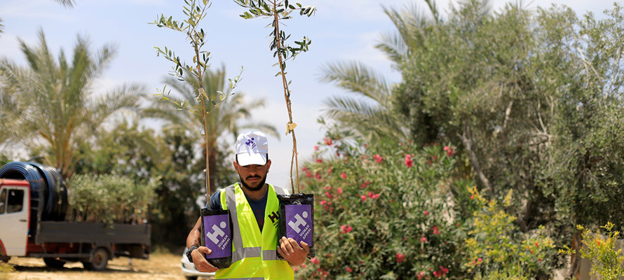 Actualización Proyecto Olivos en Palestina