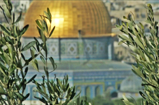 Fondo de Emergencia y reconstrucción de Gaza