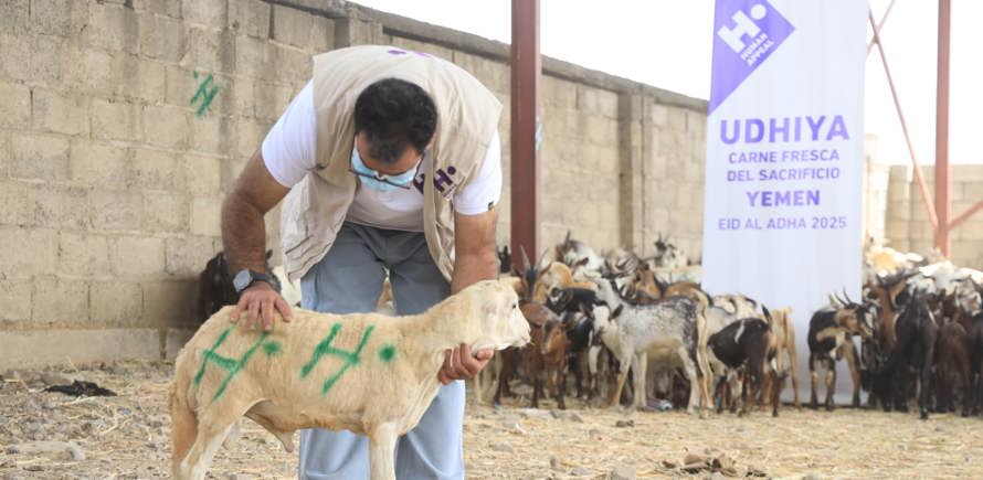 Tu Udhiya para Yemen (cabra/oveja)