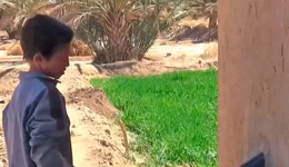 Agua Limpia - Pozo solar en Marruecos