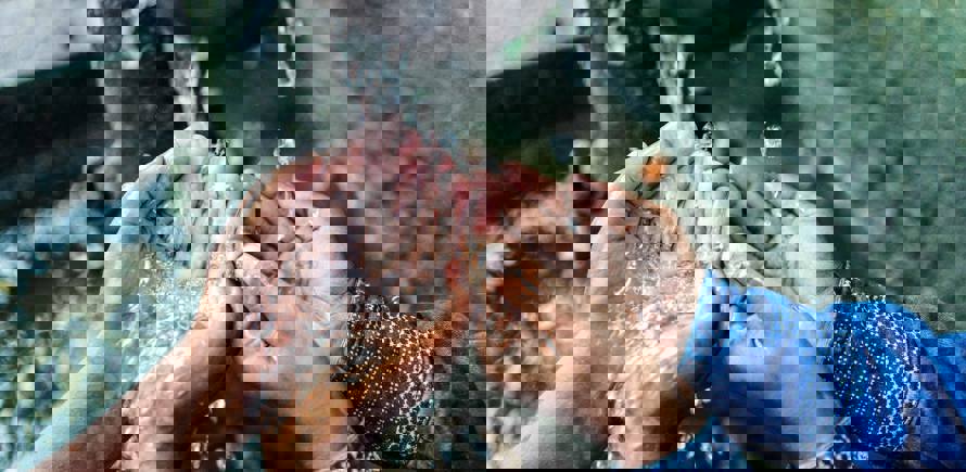 Fondo agua, higiene y saneamiento