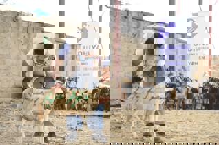 Fondo para carne de la Udhiya (sadaqah) - Donde más se necesita