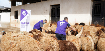 Fondo para carne de la Udhiya (sadaqah) en Líbano