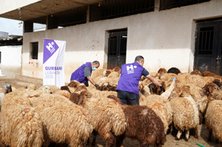 Fondo para carne de la Udhiya (sadaqah) en Líbano