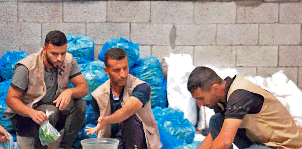 Productos frescos de producción local para Gaza