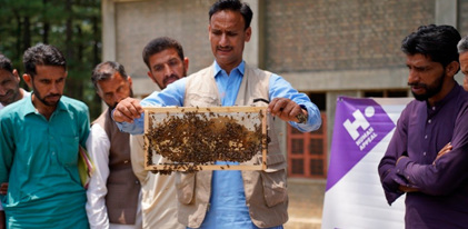 Granja de miel (colmenas) para Bangladesh